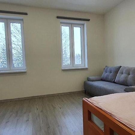 Apartment 35M2 카를로비바리 외부 사진