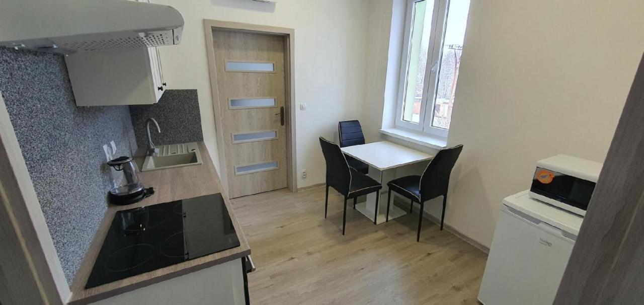 Apartment 35M2 카를로비바리 외부 사진