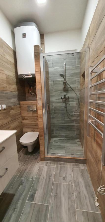 Apartment 35M2 카를로비바리 외부 사진