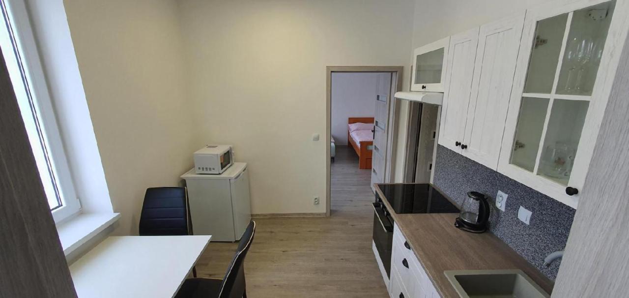 Apartment 35M2 카를로비바리 외부 사진
