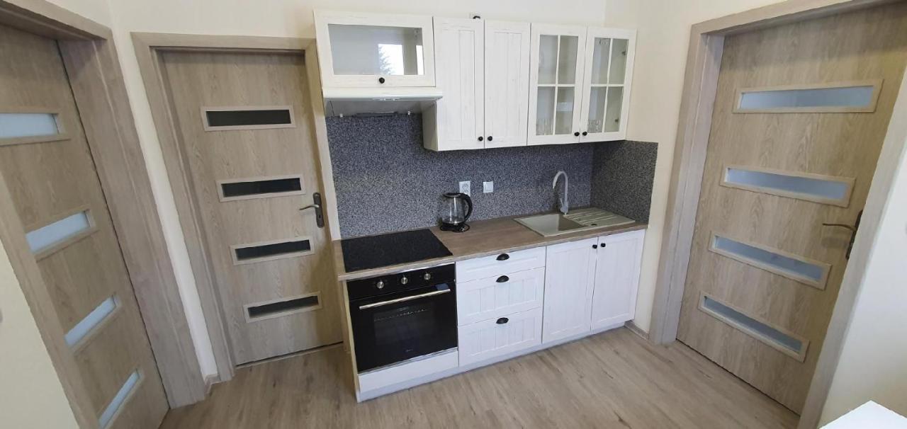 Apartment 35M2 카를로비바리 외부 사진